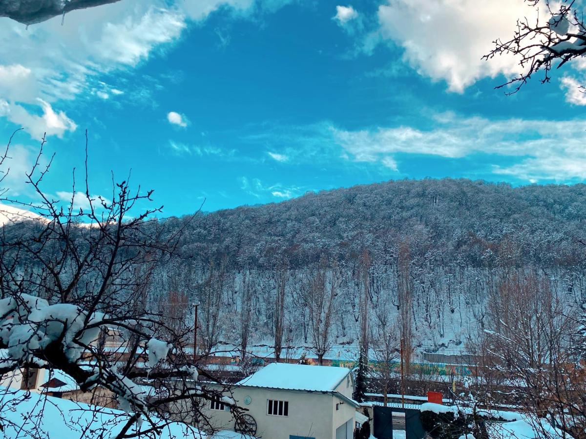 Green Garden B&B Dilijan Eksteriør bilde